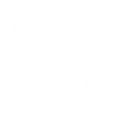 Anyscale логотип