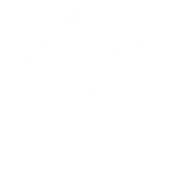 Cerebras логотип