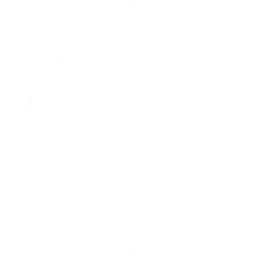 Crusoe логотип