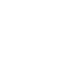 Dolphin логотип