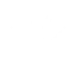 Fireworks логотип