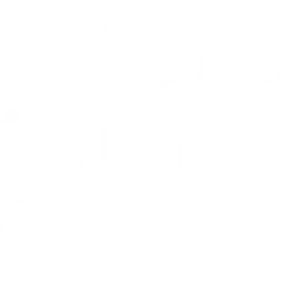 Friendli логотип