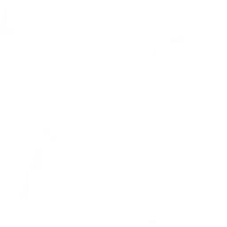 Goose логотип