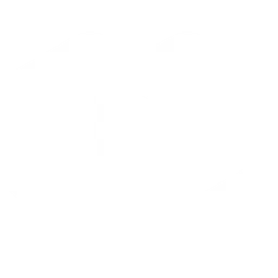 LeptonAI логотип