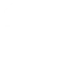 Parasail логотип