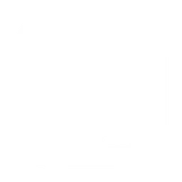 Phidata логотип