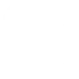 Runway логотип