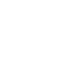 SambaNova логотип