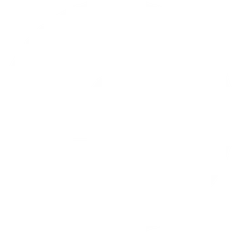 Search1API логотип