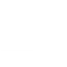 SiliconCloud логотип