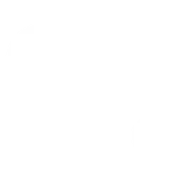 Stability логотип