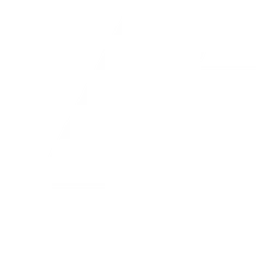 Straico логотип