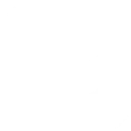 Targon логотип