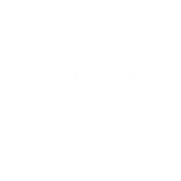 Tripo логотип