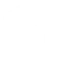 TuriX логотип