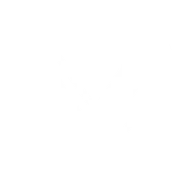 Viggle логотип