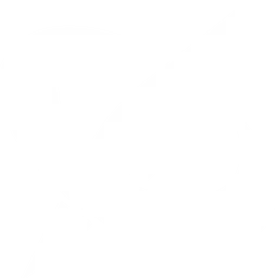 Xinference логотип