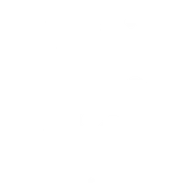 Zhipu логотип